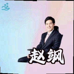 赵飒
